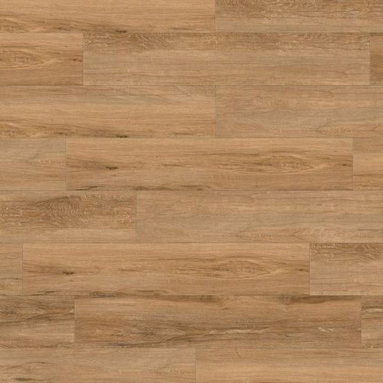 0577 ALBION 0577.jpg