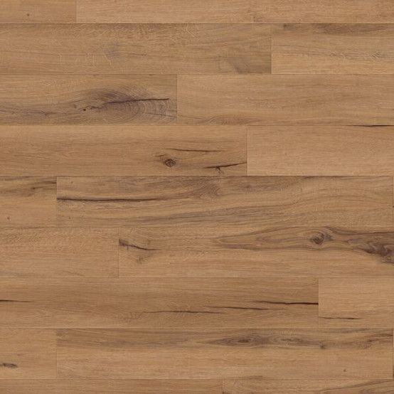 1606 CEDAR GOLDEN 1606.jpg